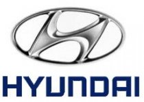 Hyundai хочет инвестировать в переработку мусора в Украине