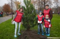 Волонтеры СКМ высадили за день более 10 тысяч деревьев