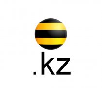 Beeline Казахстан стал мобильным оператором и партнером ZhasCamp 2013