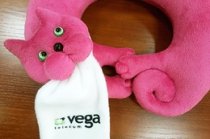 Телекоммуникационная группа Vega поддерживает украинских мастеров