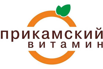 Объявлен краевой конкурс социально-значимых проектов «Прикамский витамин»