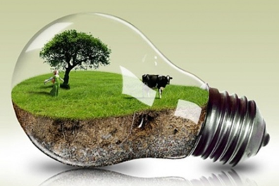 Головні тренди КСВ: енергоефективність та зменшення викидів СО2